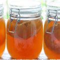 La kombucha : une boisson populaire et bienfaisante.