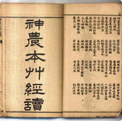 vertus du thé selon la pharmacopée chinoise