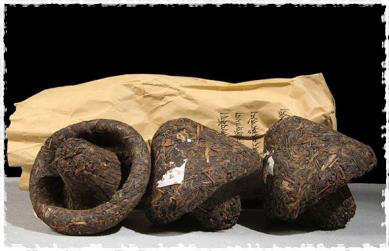 Puerh Champignon Jincha