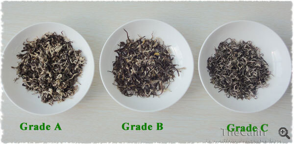 Les différents grades de Bi LuoChun