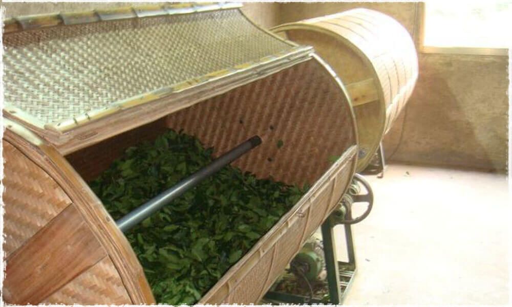 Brassage des feuilles de TieGuanYin  dans un tonneau de bambou