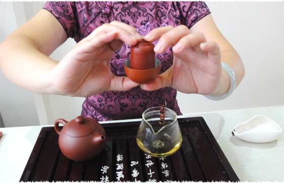 gongfucha tieguanyin - gongfucha