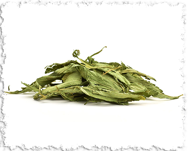 Stevia 