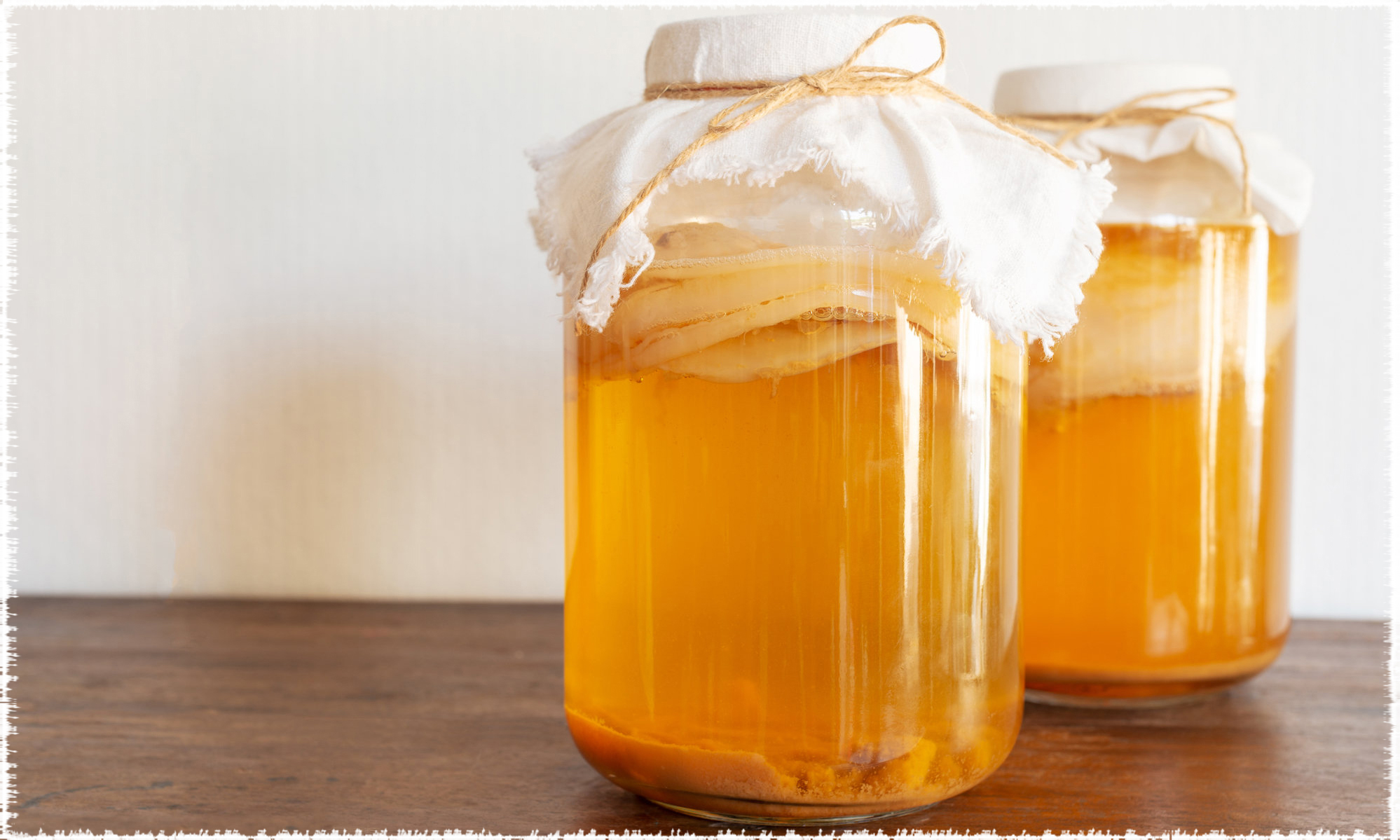 mère kombucha