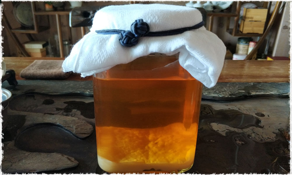 thé kombucha