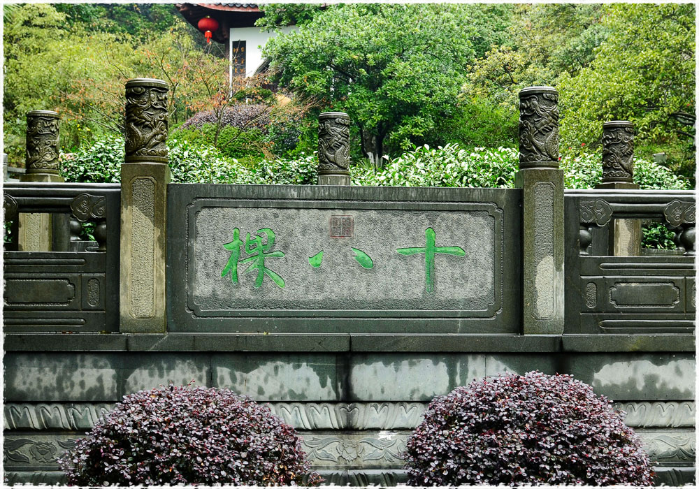 Le lac de l’ouest ou Xihu,  Longjing