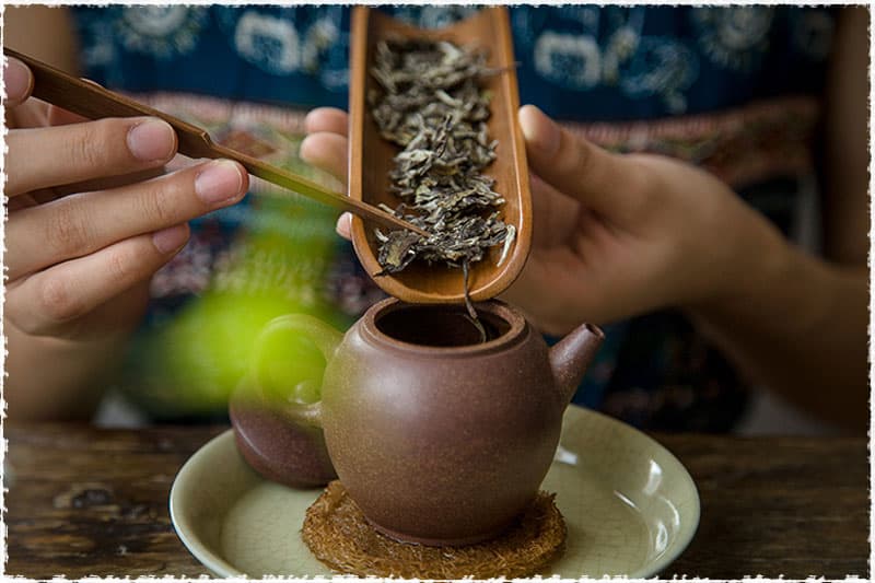 infuser_the_blanc_5