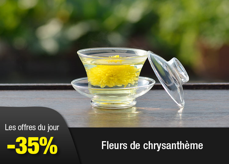 Fleurs de chrysanthème