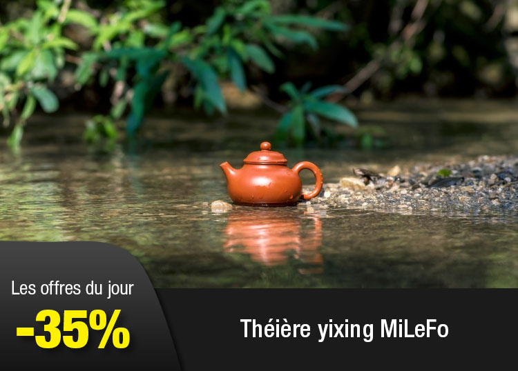 Théière yixing MiLeFo