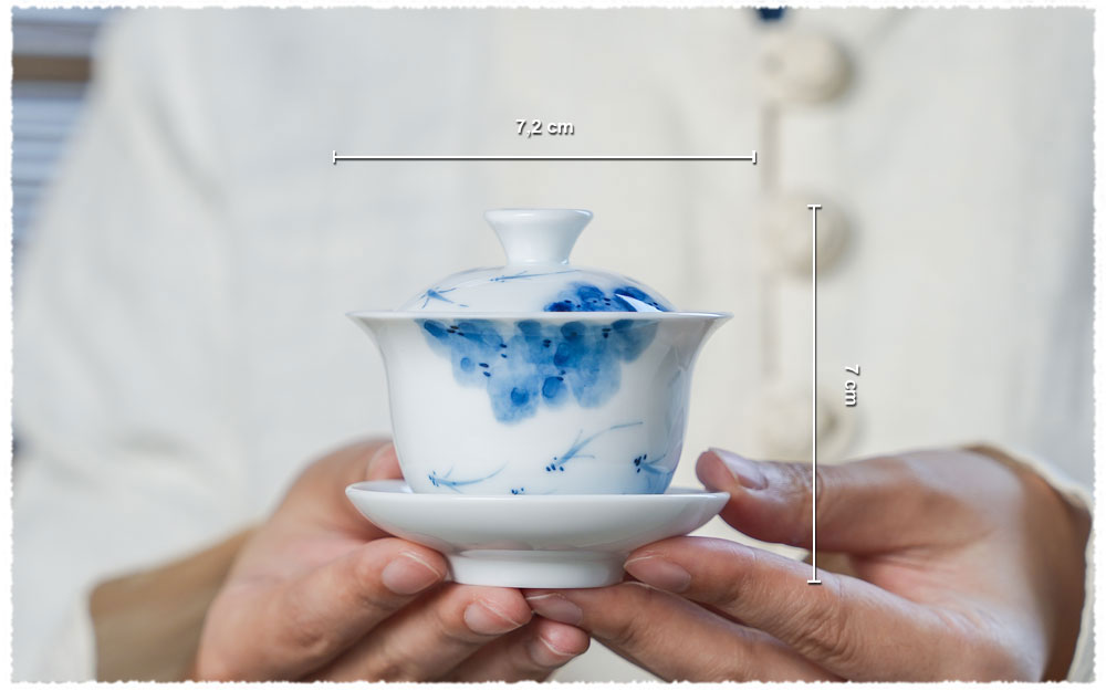 Dimension Gaiwan Mini